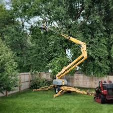 Westmont, PA Tree Care  Company