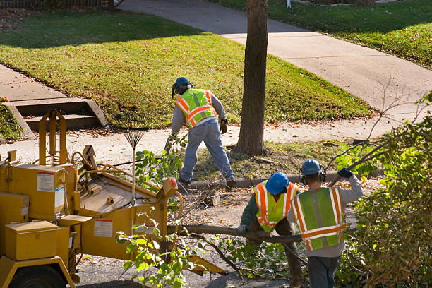 Leaf Removal in Westmont, PA